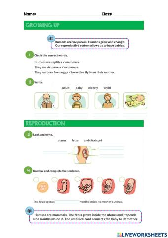 Science2. Reproduction in humans