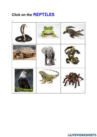 Choose the reptiles