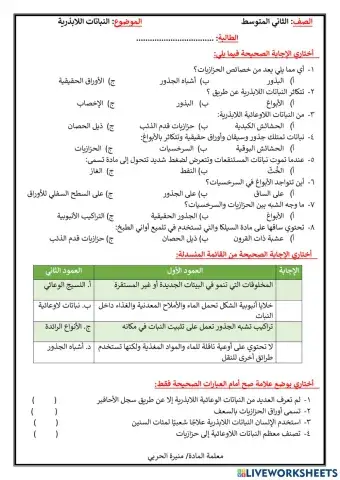 ورقة تفاعلية لدرس النباتات اللابذرية
