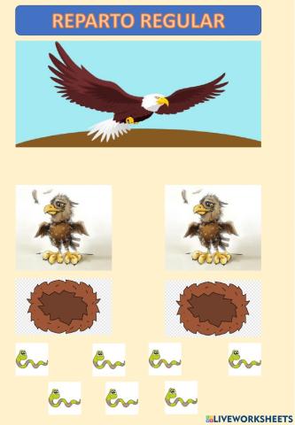 Abn Reparto regular 1