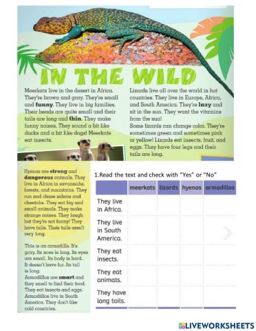 Reading about Animals