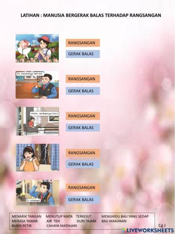 Manusia bergerak balas terhadap rangsangan