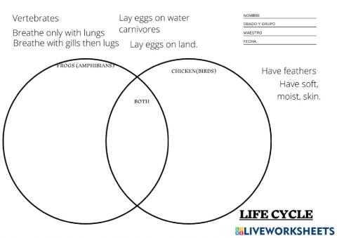 Amphibians and Birds