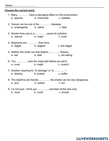 Vocab & grammar revision-unit 1