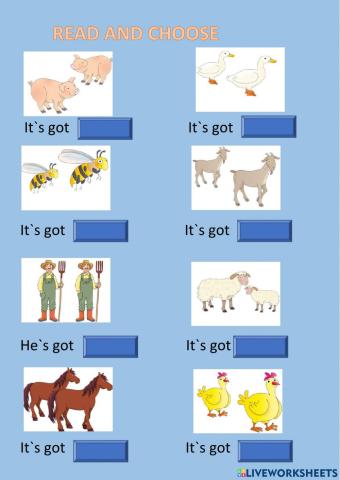 Farm animals description