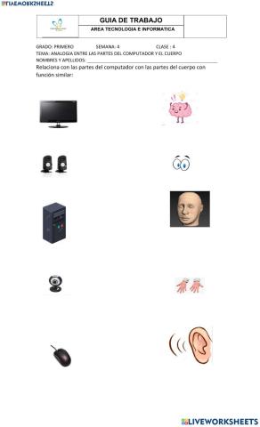 Analogía entre las partes del computador y el cuerpo