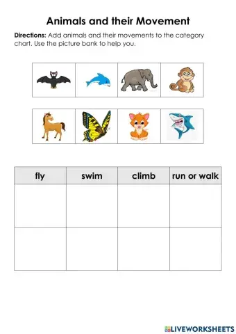 Animals and their Movements