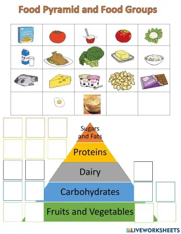 Understanding food groups