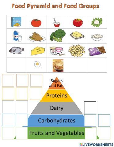Understanding food groups