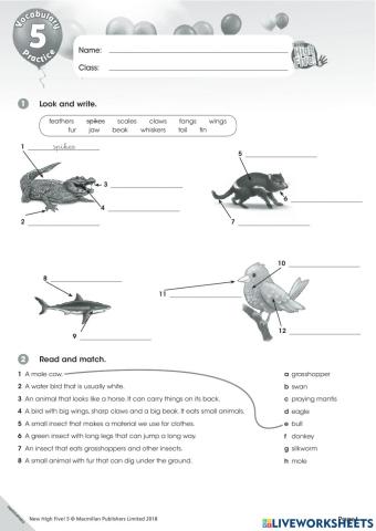 VOCABULARY PRACTICE UNIT 5: AMAZING ANIMALS