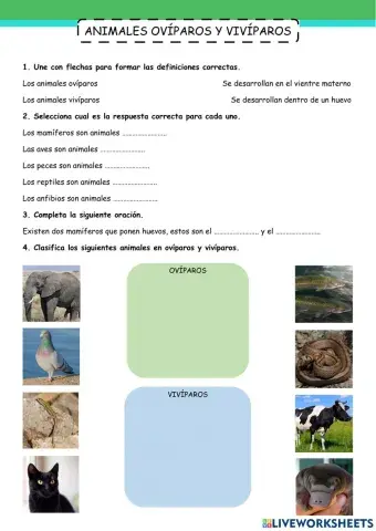 Animales ovíparos y vivíparos
