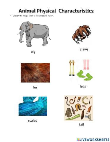 Animal physical characteristics
