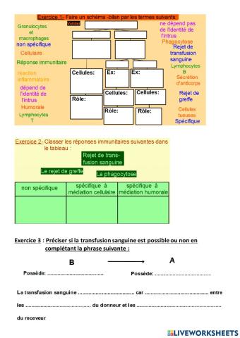 Réponse immunitaire