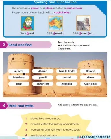 Proper noun Capitalisation