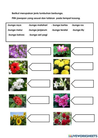 PSSAS TING 1:TUMBUHAN-Cikgu Hawa