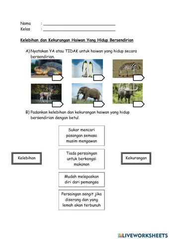 Interaksi Antara Hidupan