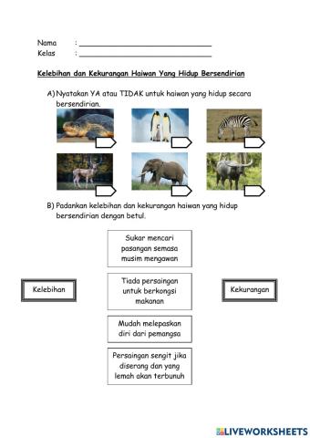 Interaksi Antara Hidupan