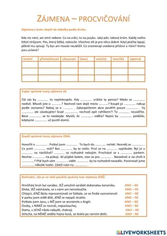 Zájmena - procvičování