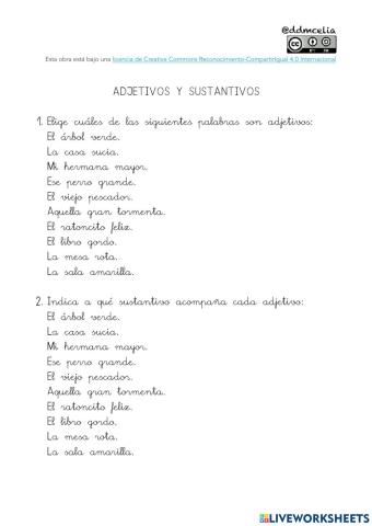 Sustantivos y adjetivos