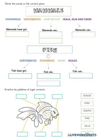 Mammals and fish