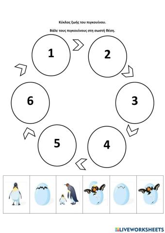 Κύκλος ζωής του πιγκουίνου