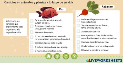 Cambios e los seres vivos