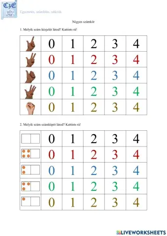 Egyeztetés 4-es számkör