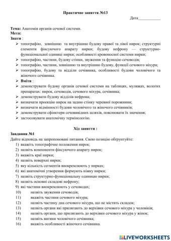 Практичне заняття №13