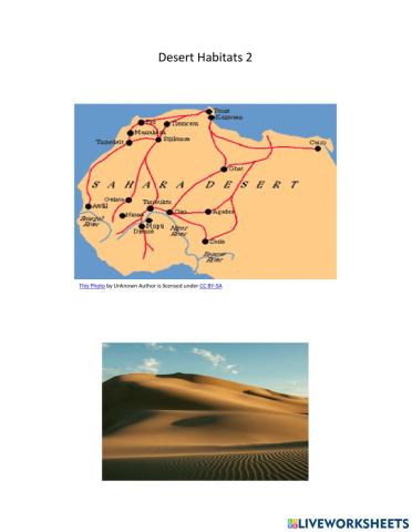 Desert Habitats 2