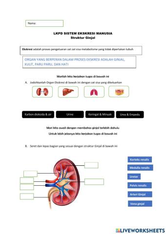 Ilmu Pegetahuan Alam
