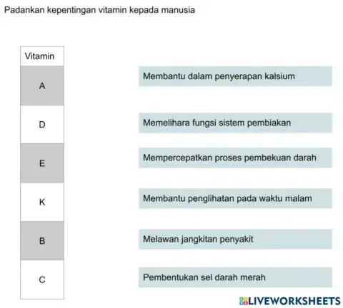 3.1.4 kepentingan vitamin