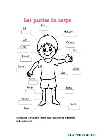 Les parties du corp