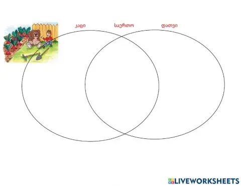 Ვენის დიაგრამა- კაცი და დათვი