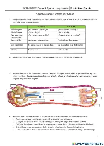Respiratorio 4. Funcionamiento