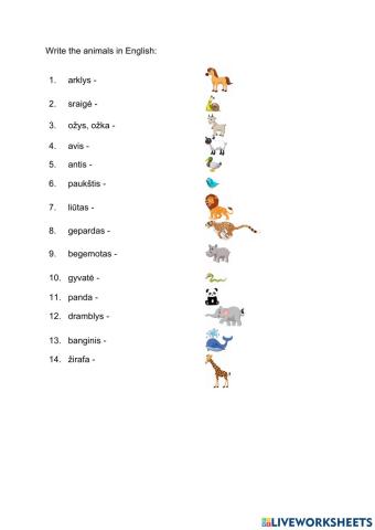 Vocabulary Module 5 Grade 4