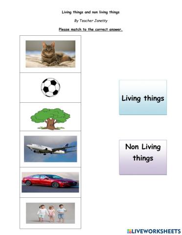 Living things and non living thing