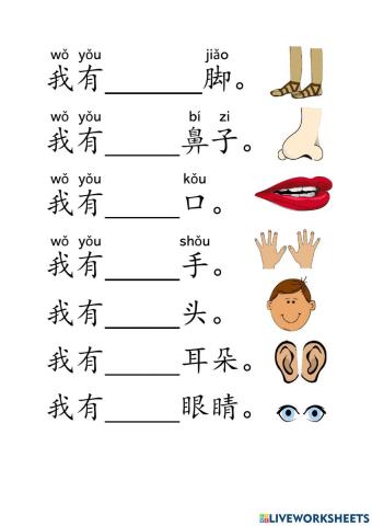 单元二：我有一双眼睛
