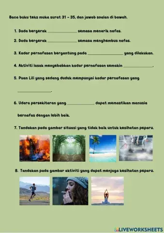 Organ pernafasan manusia