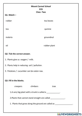 Useful plants