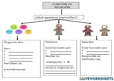 Función de relación