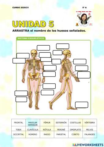 Unidad 5