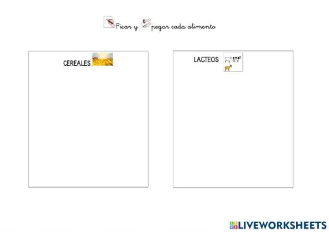 Clasificación alimentos