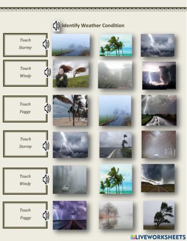 Weather condition - windy, stormy, foggy - (1.02) - George