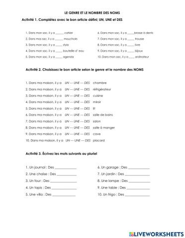 El género y número de los sustantivos