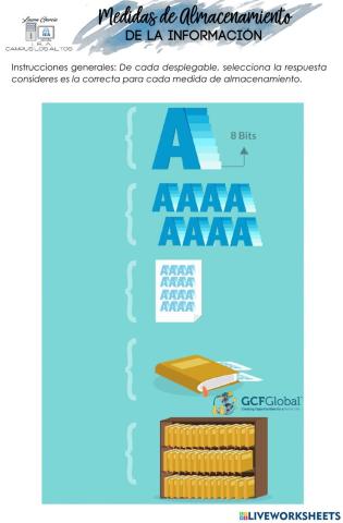 Medidas de Almacenamiento de la Información 