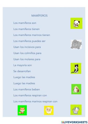 Actividad Mamíferos
