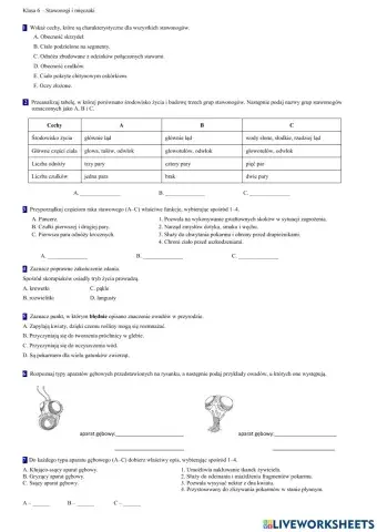 Klasa 6 - stawonogi i mięczaki