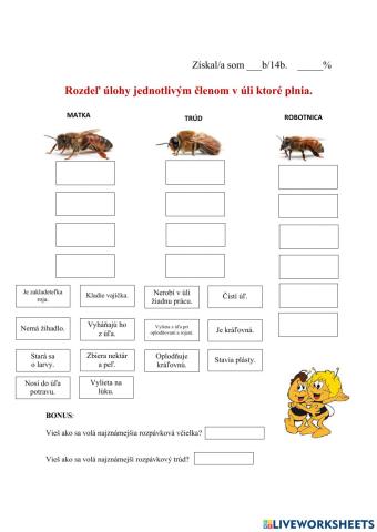 Rozdeľ úlohy jednotlivým členom v úli