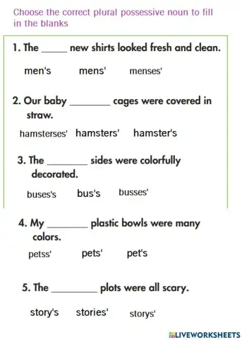 Plural Possessive Noun