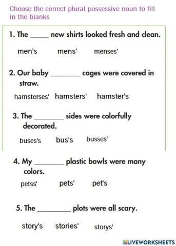 Plural Possessive Noun